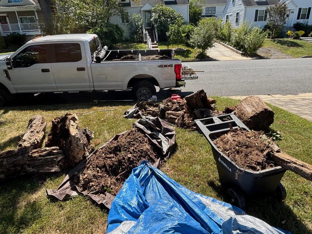 Stump and root removal loaded on truck