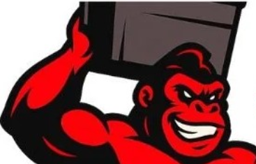 The Junk Gorillas gorilla mark